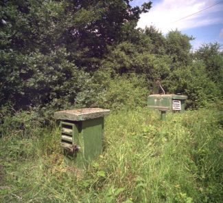 Great Burstead ROC post photographed in 1997. Great Burstead ROC post photographed in 1997. | Nick Catford