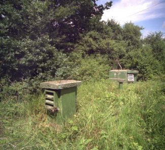 Great Burstead ROC post photographed in 1997. | Nick Catford