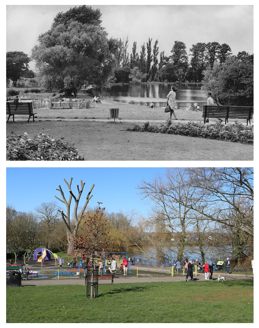 Lake Meadows Photo Galleries Billericay Community Archive
