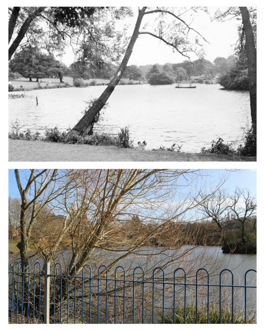 Lake Meadows Photo Galleries Billericay Community Archive